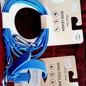 Wild One brand dog leash and collar, for small dogs up to 30lbs, color Moonstone